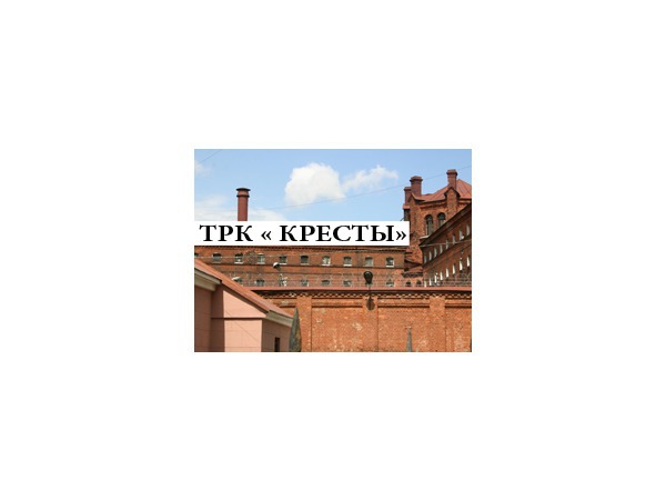 Художников отправят в «Кресты» и на Сталепрокатный
