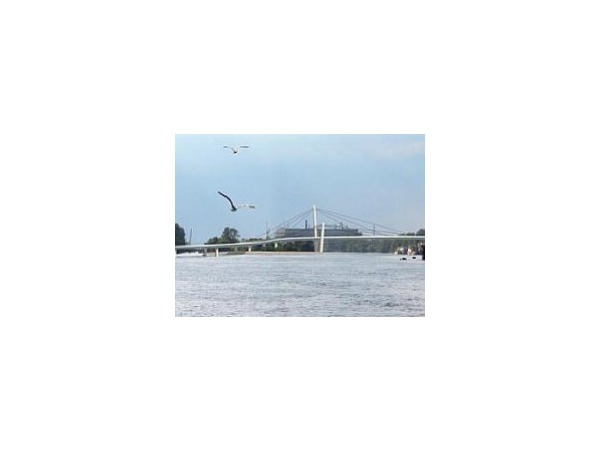 Мост через Серный ждет ремейка