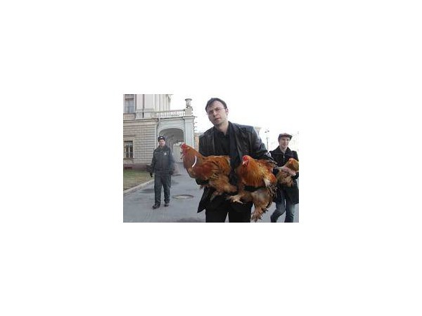 Курицам в ЗакСе не место
