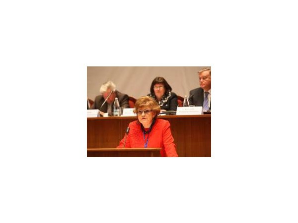 Вербицкая: Закон о запрете нецензурной лексики не нужен