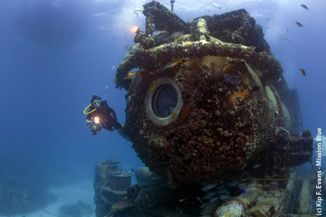 Источник: http://fabiencousteau.org/