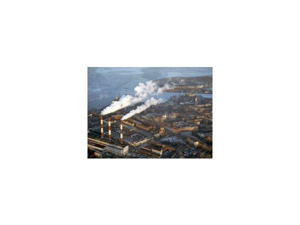 Формы жизни - 4: из мегаполиса - куда глаза глядят