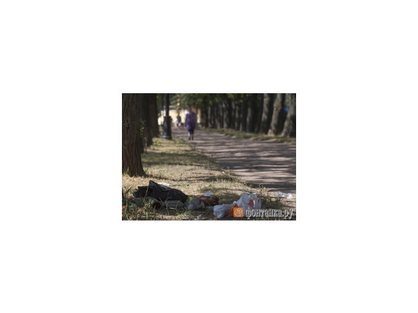 Парк Победы терпит поражение