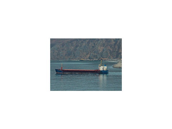 В результате крушения теплохода «Полайн» в Японском море погиб один моряк
