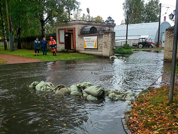 Как горожане "плавали" на Сампсониевском