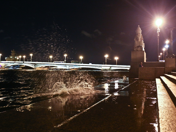 "Aqua Alta" и другие последствия шторма в Петербурге