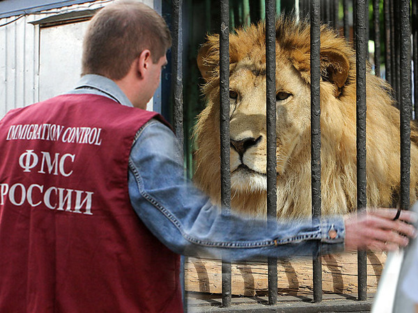 Цирк перед Путиным