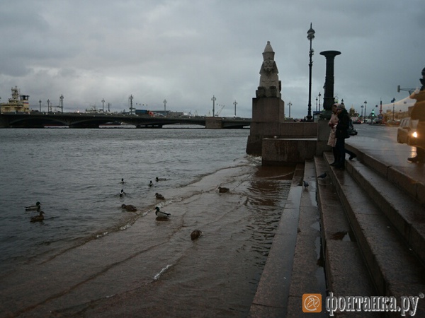 Вода в Неве поднялась выше отметки 160 см