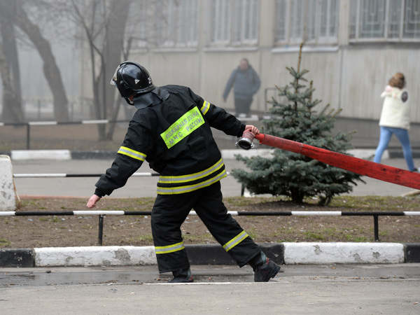 МЧС отправили под нож
