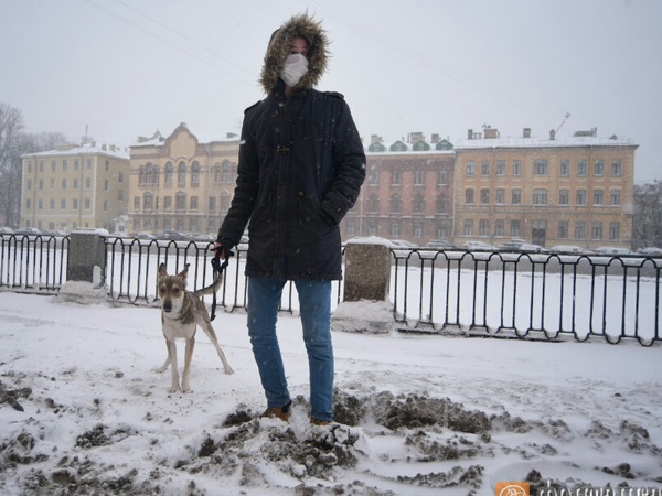 Сильный снег продлится в Петербурге до конца дня