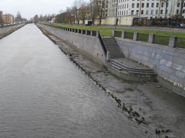 Из-за северо-восточного ветра в Неве понизился уровень воды