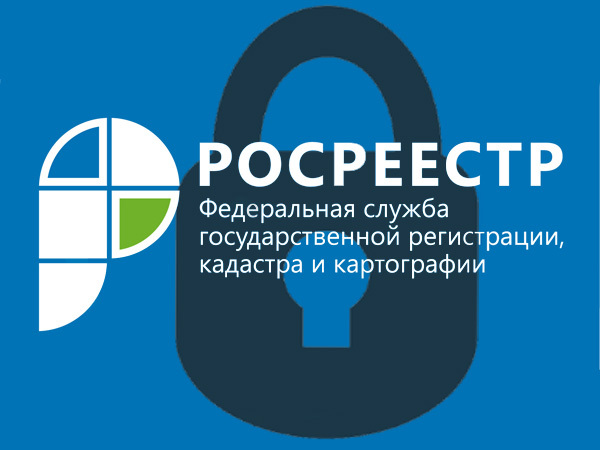Недоступный сайт Росреестра за 49 млн