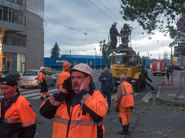 За штормовые сутки в Петербурге упало свыше 100 деревьев