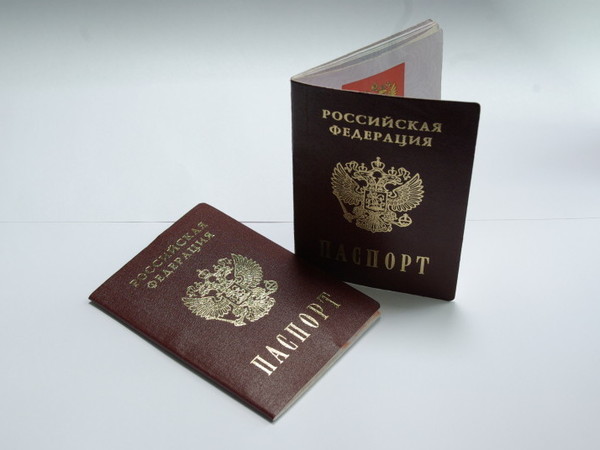 Как по закону лишить гражданства