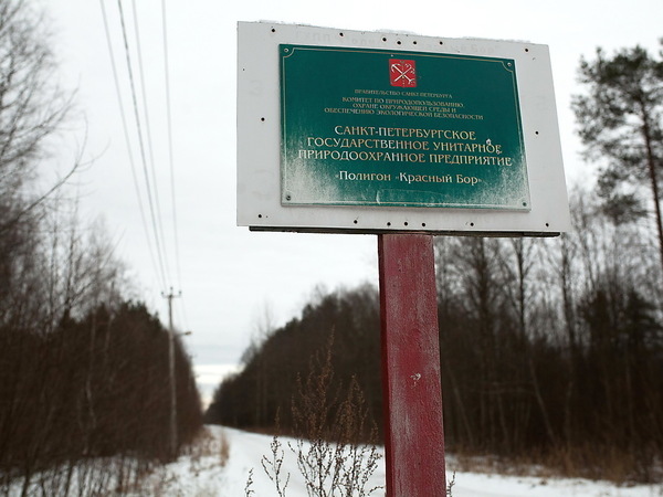 Газовый след «Красного Бора»