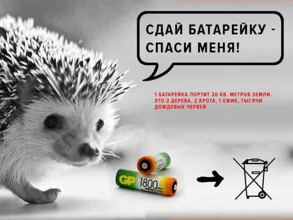 Экобоксеры вошли в клинч
