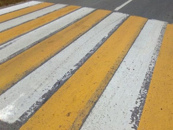 Сбитых в Купчино не подбирают