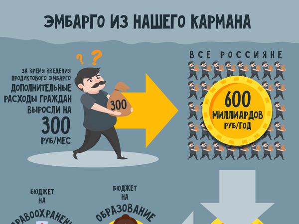 Экономисты подсчитали, сколько россияне платят за эмбарго