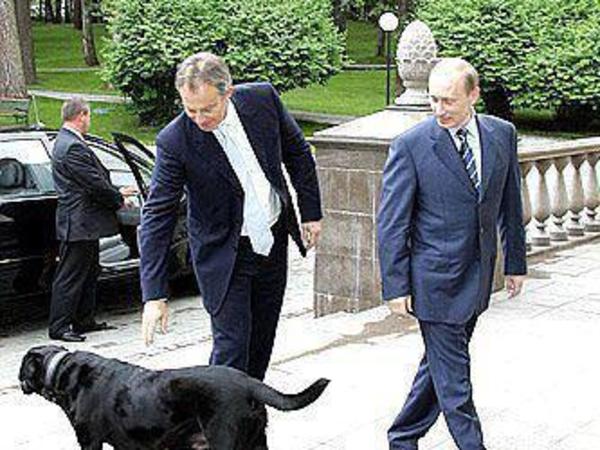 Они ответят за климат президента