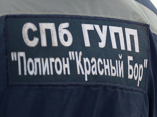 Красному Бору выписали рецепт на полмиллиарда