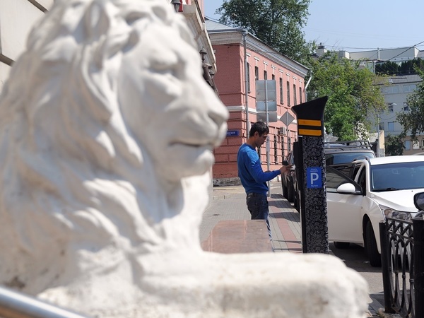 Петербургу просчитают платный центр