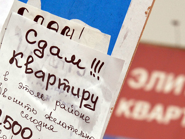 По зубным щеткам пересчитают