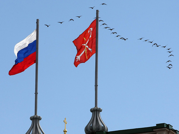 Над Петербургом летят морская чернеть, морянка и синьга