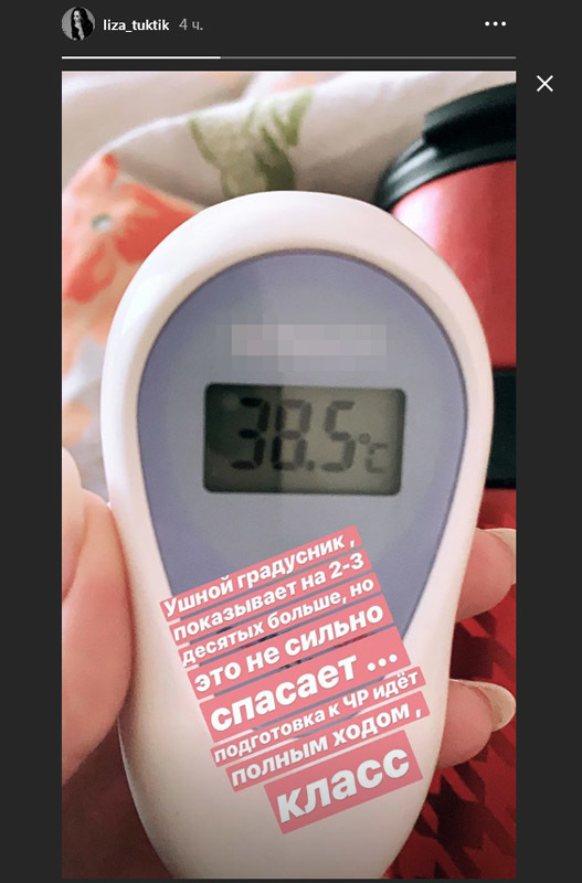 скриншот/www.instagram.com/liza_tuktik