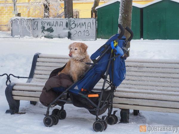 6 вопросов о погоде - с ответами