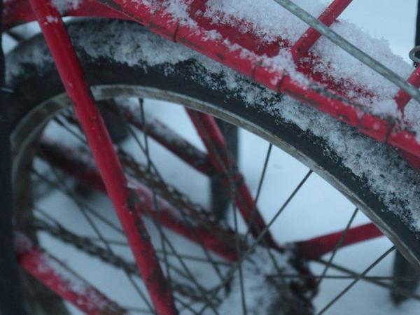 Петербуржцы не побоялись поехать на работу на велосипеде