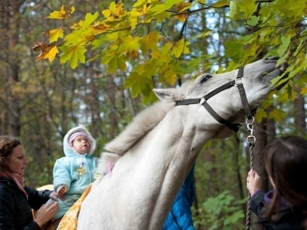 На коне к здоровью