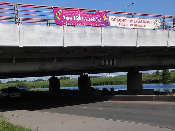 Как победить Мост глупости