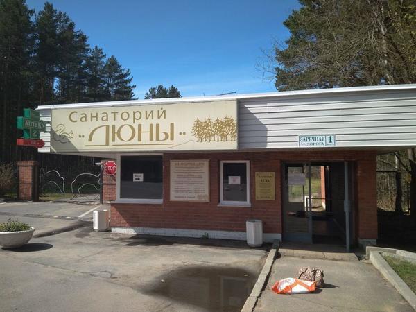 Сестрорецкие пляжи: чистые. Летние. Не твои