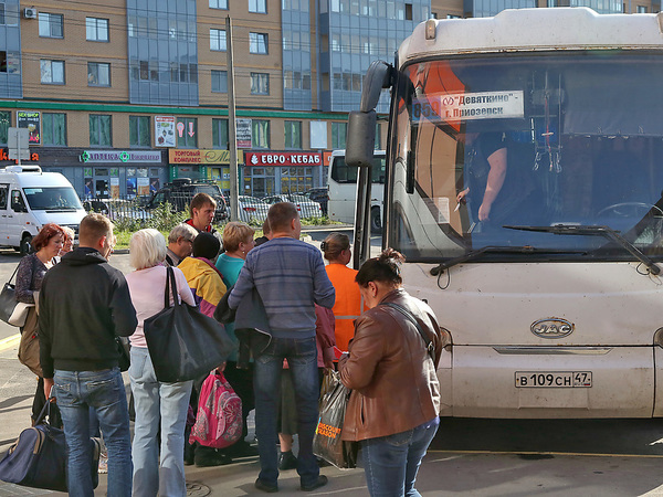 Автобусный вокзал в Девяткино хочет построить фирма депутата из Челябинска