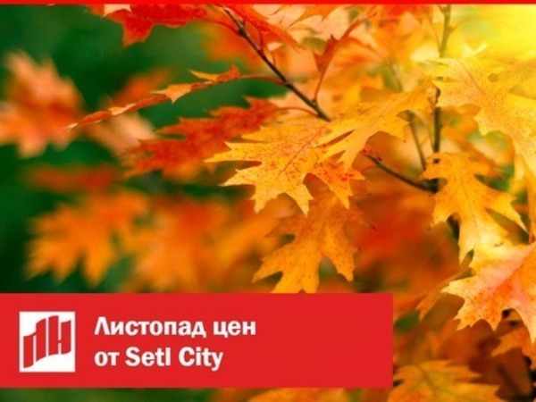 «Петербургская Недвижимость» собирает осенний гербарий