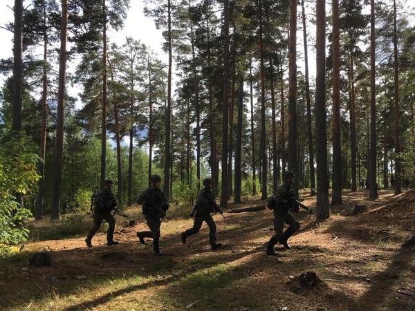 «Стоять на своей земле и не ждать помощи». Как Финляндия готовится защищать себя без НАТО