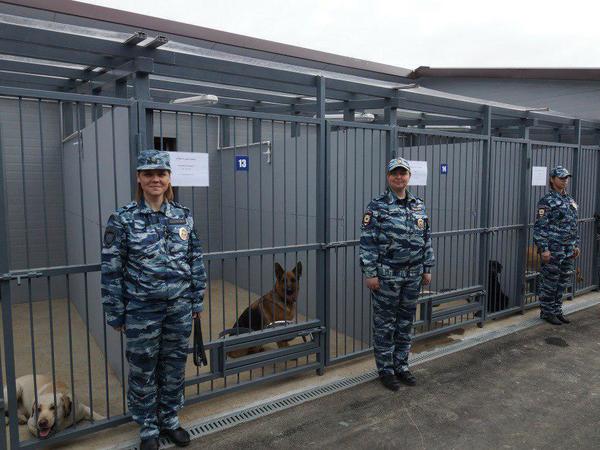 Идеальная сука. Каких сотрудниц предпочитает полиция Петербурга