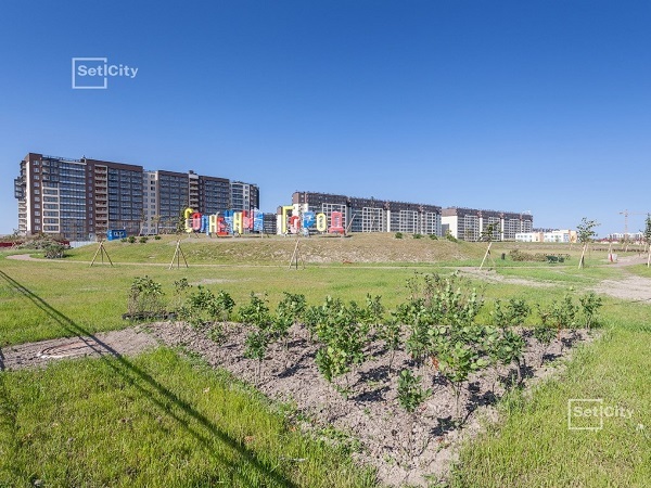 В парке возле ЖК «Солнечный город» выполнены работы по ландшафтному дизайну