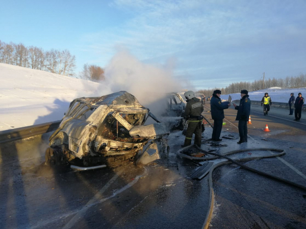 Три легковушки сгорели в ДТП под Воронежем. В них погибли семь человек