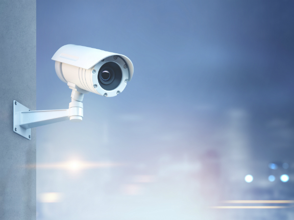 Предоставлено компанией «Петербургская Недвижимость»/ shutterstock.com