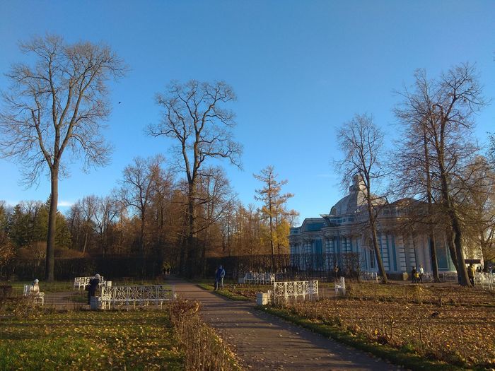 Пушкинский р н. Пушкинский район Санкт-Петербурга. Пушкин район. Волосово осенью. Львов Пушкинский район.