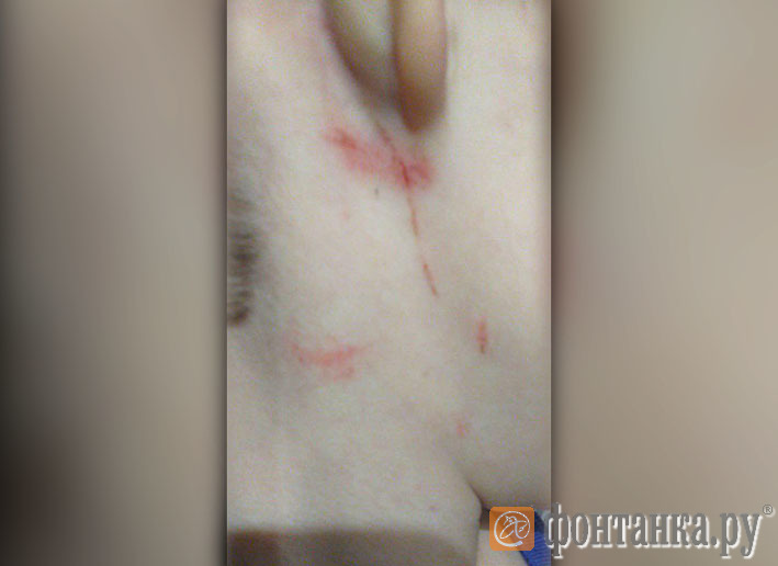 предоставлено мамой ребенка