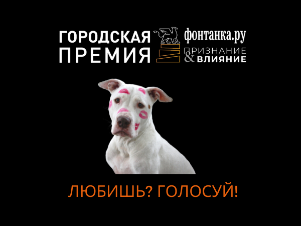 Голосуйте за лучшие компании города на «Фонтанке.ру»