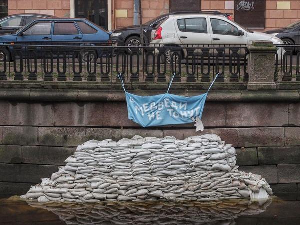 «Медведи не тонут». Умка вернулся на канал Грибоедова