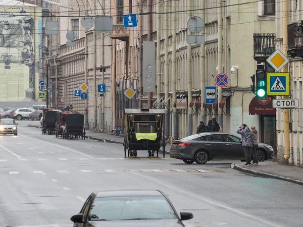 Культурный форум заставил «пятиться» автомобили и удивил водителей каретами на улицах Петербурга