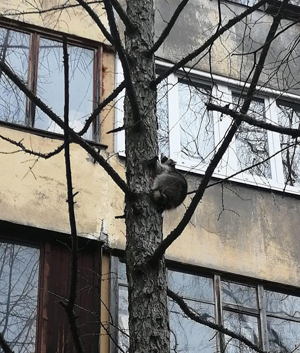Комитет по природопользованию, охране окружающей среды и обеспечению экологической безопасности