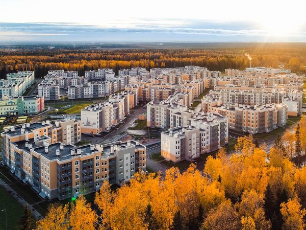 В 2020 году планируется строительство школы в микрорайоне «Новое Сертолово»