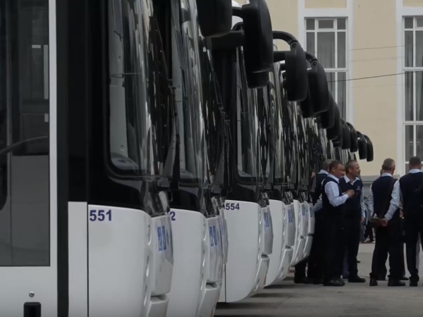 Израильское посольство и кипрский офшор. Кто привезет 200 автобусов в Петербург