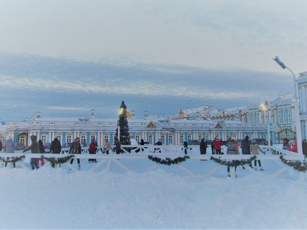 Зимние забавы в Царском селе