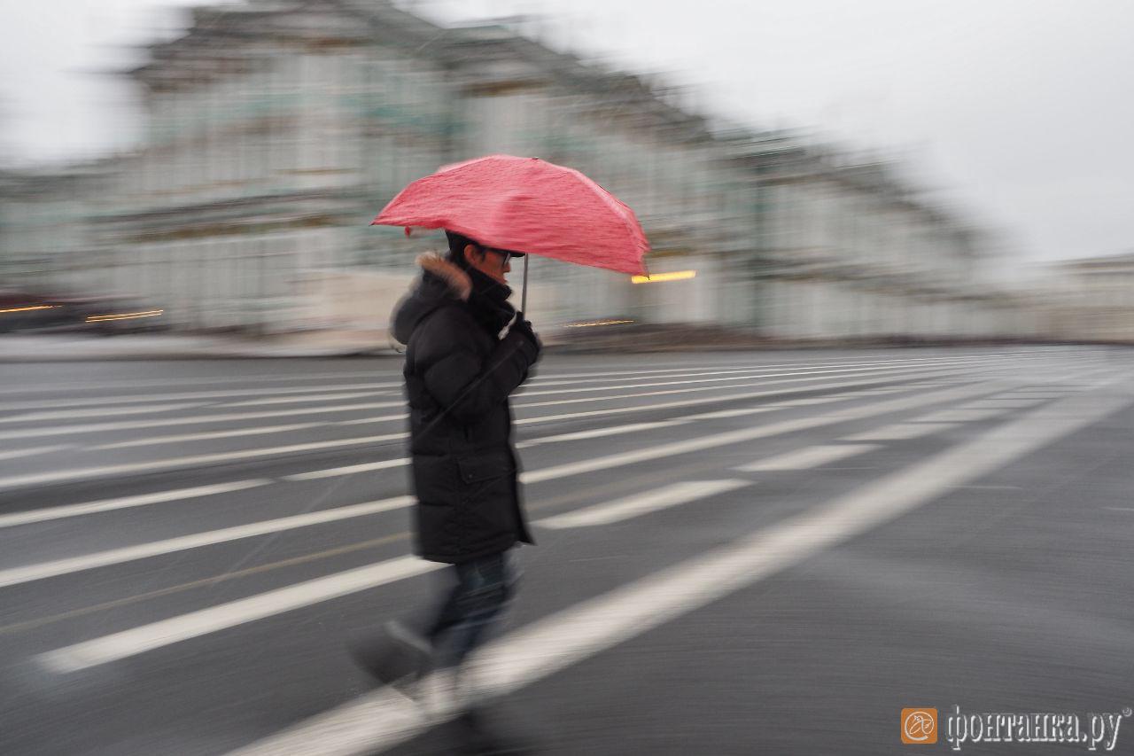 Когда придет тепло в спб. Сильный ветер в СПБ зимой на улице и человек с зонтом высокое качество. Сильный ветер в СПБ зимой на улице и человек с зонтом. Ноябрь ветер Петербург. Тепло в Петербурге.